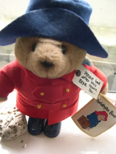 traveling bear